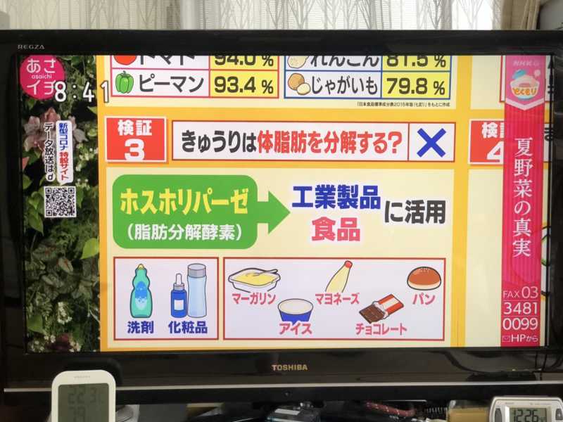 きゅうりダイエットに脂肪燃焼効果は無い それでも痩せる理由とは ダイエットポリス 元ライザップトレーナー 元警察官